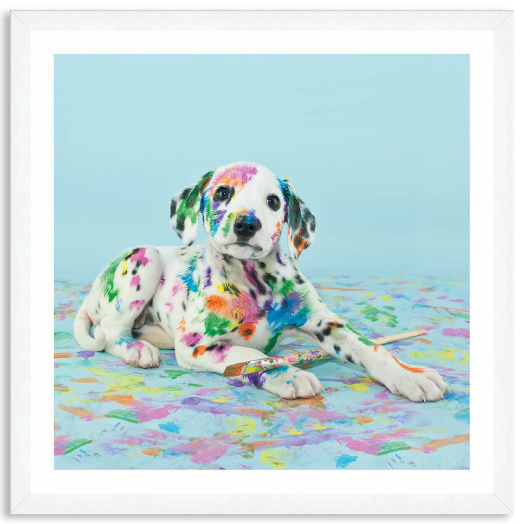 PAINT PUP IV - Framed Print