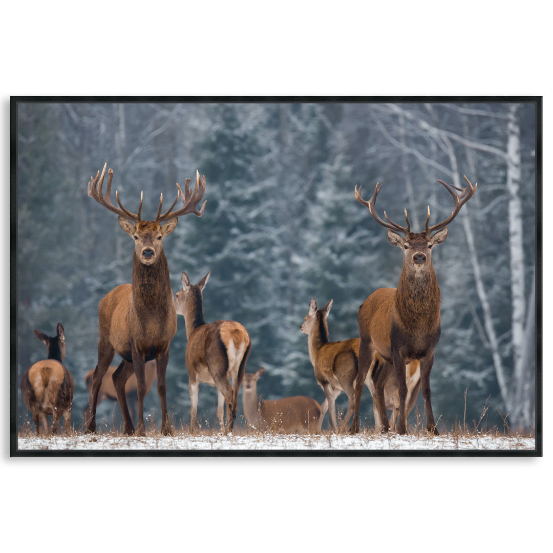 SENTINEL I - Framed Canvas