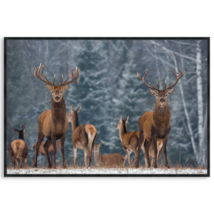 SENTINEL I - Framed Canvas