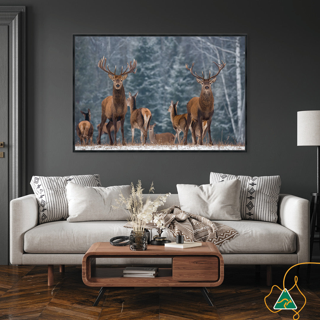 SENTINEL I - Framed Canvas