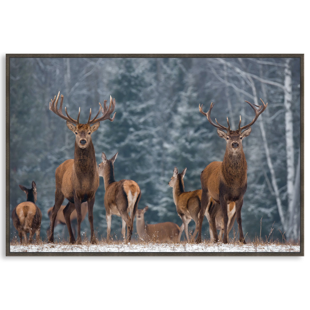 SENTINEL I - Framed Canvas