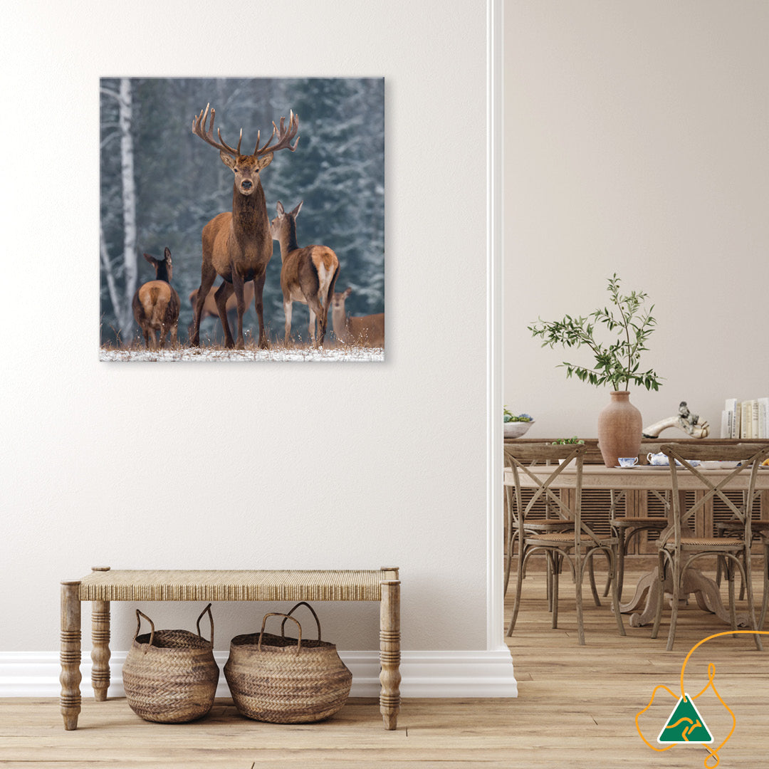 SENTINEL II - Canvas Print