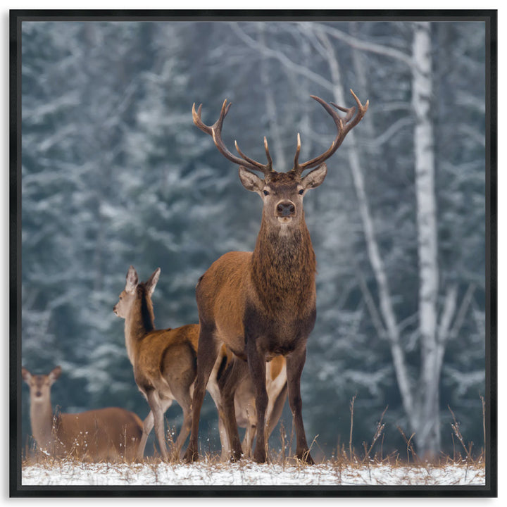 SENTINEL III - Framed Canvas
