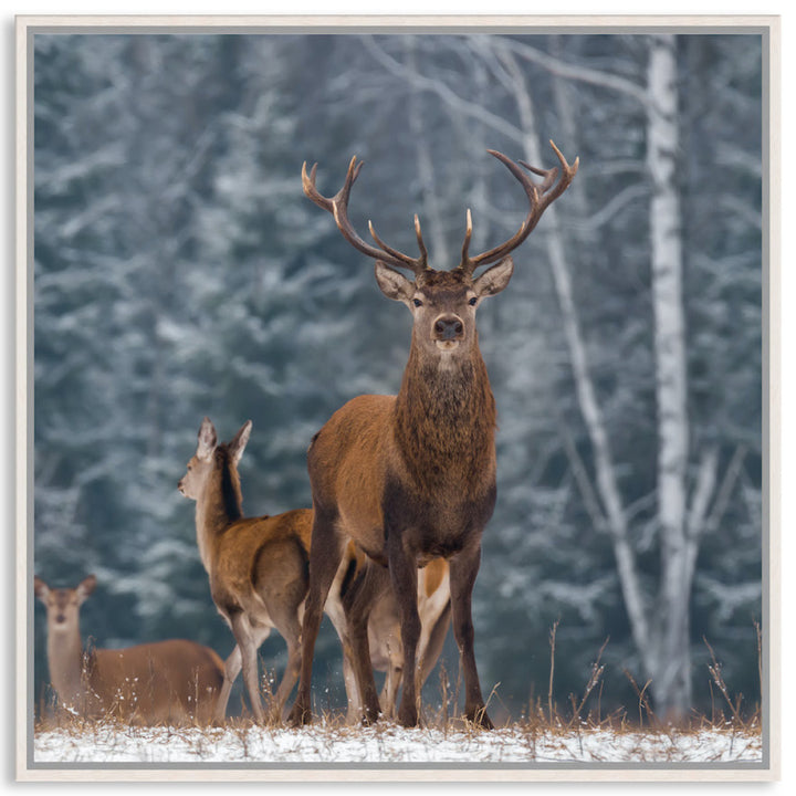 SENTINEL III - Framed Canvas