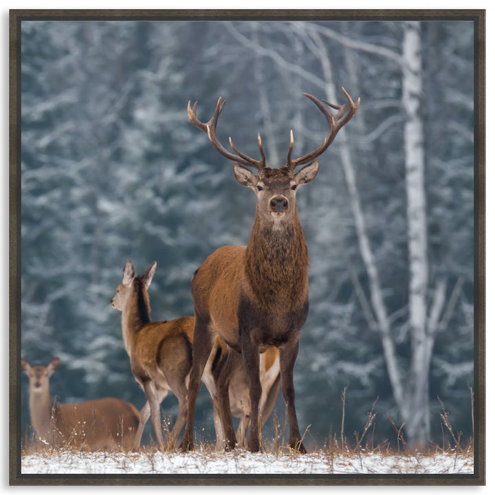 SENTINEL III - Framed Canvas
