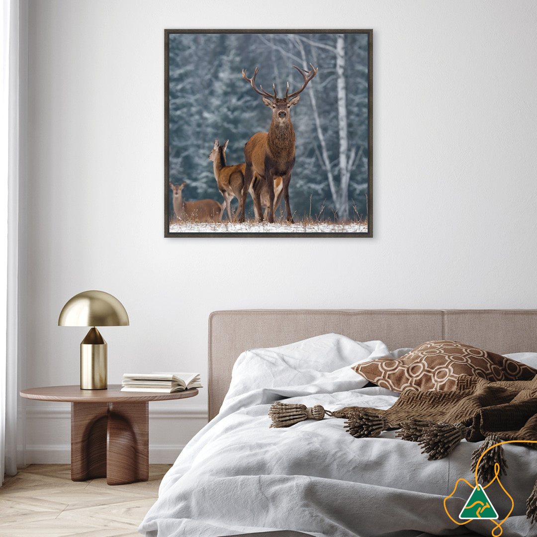 SENTINEL III - Framed Canvas