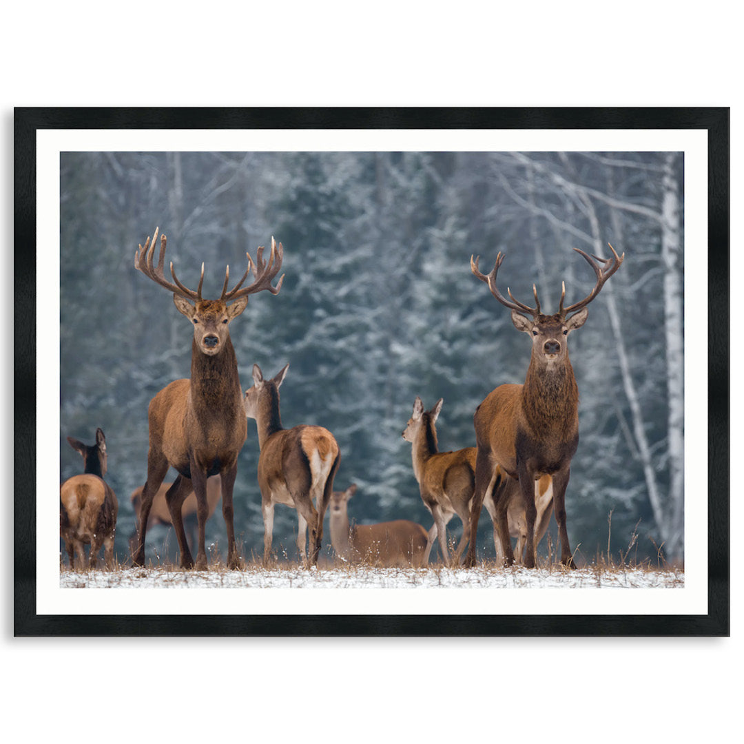 SENTINEL I - Framed Print