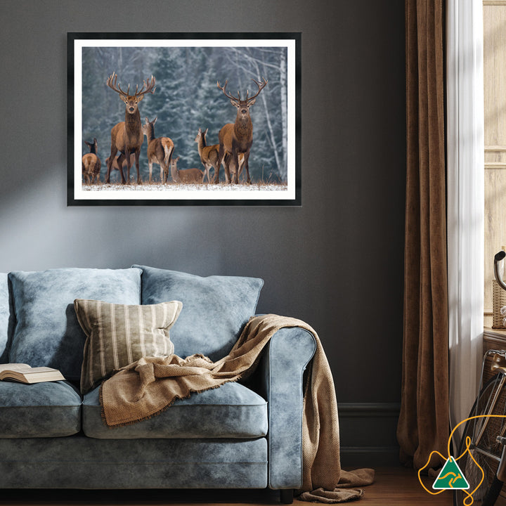 SENTINEL I - Framed Print