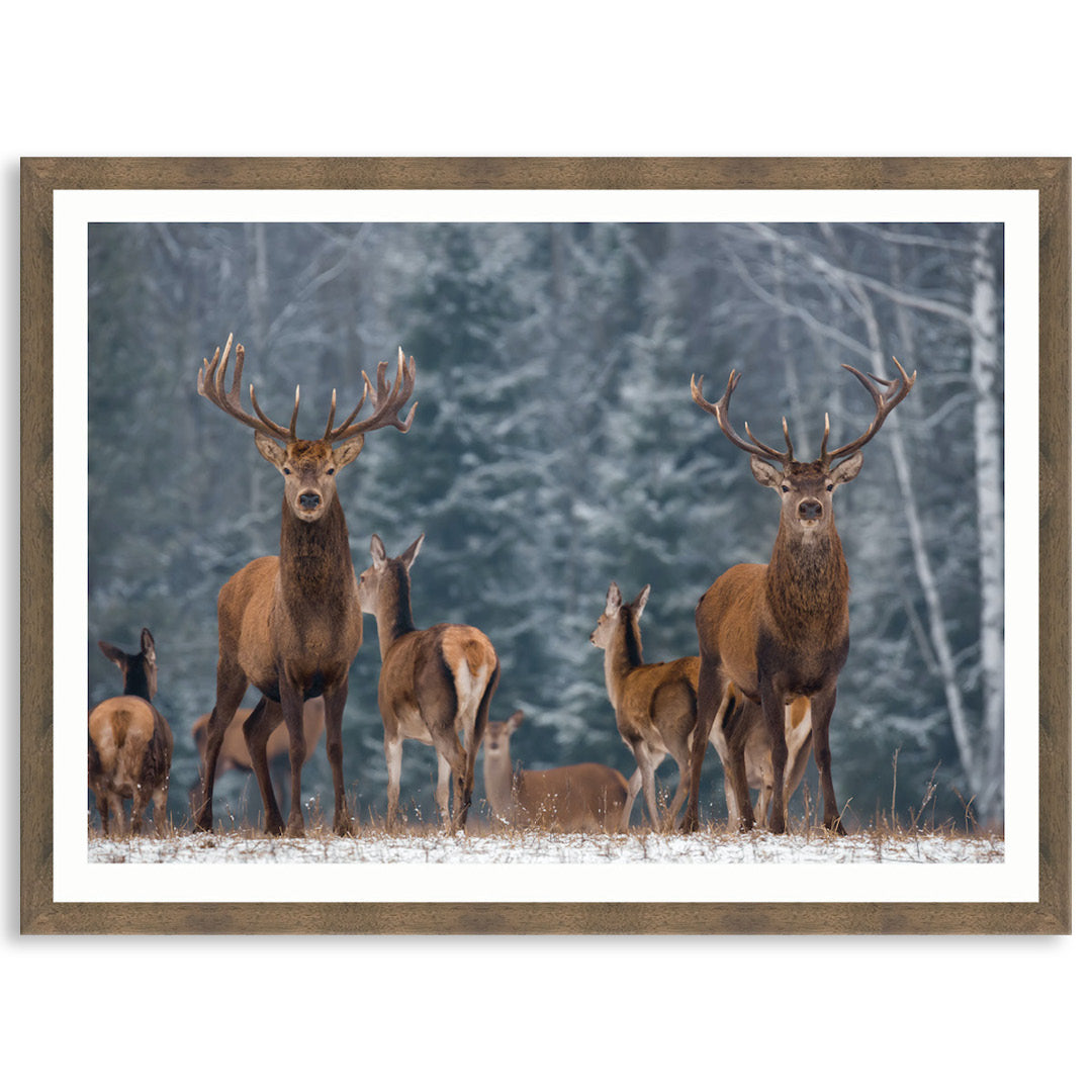 SENTINEL I - Framed Print