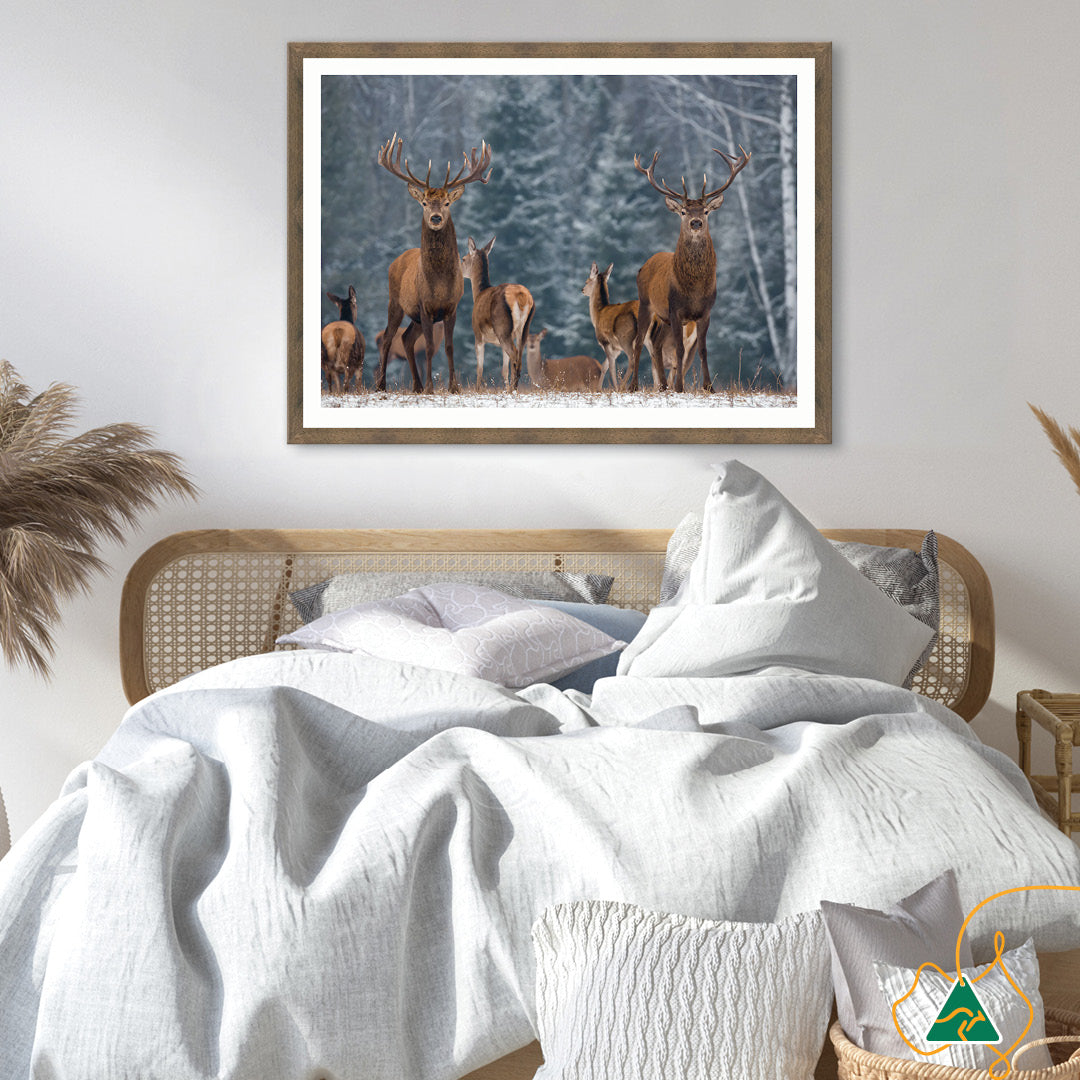 SENTINEL I - Framed Print