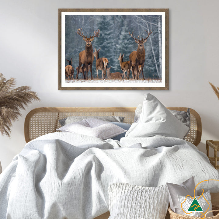 SENTINEL I - Framed Print