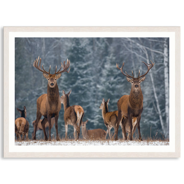 SENTINEL I - Framed Print