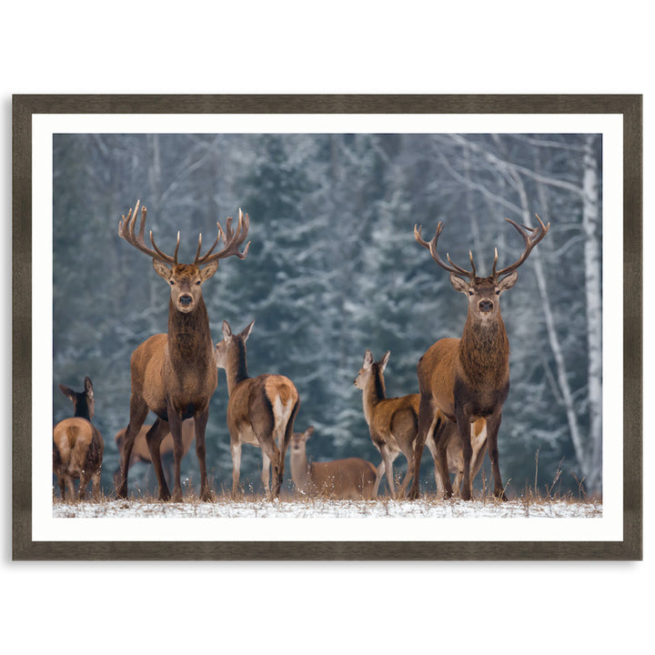 SENTINEL I - Framed Print
