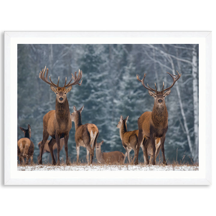 SENTINEL I - Framed Print