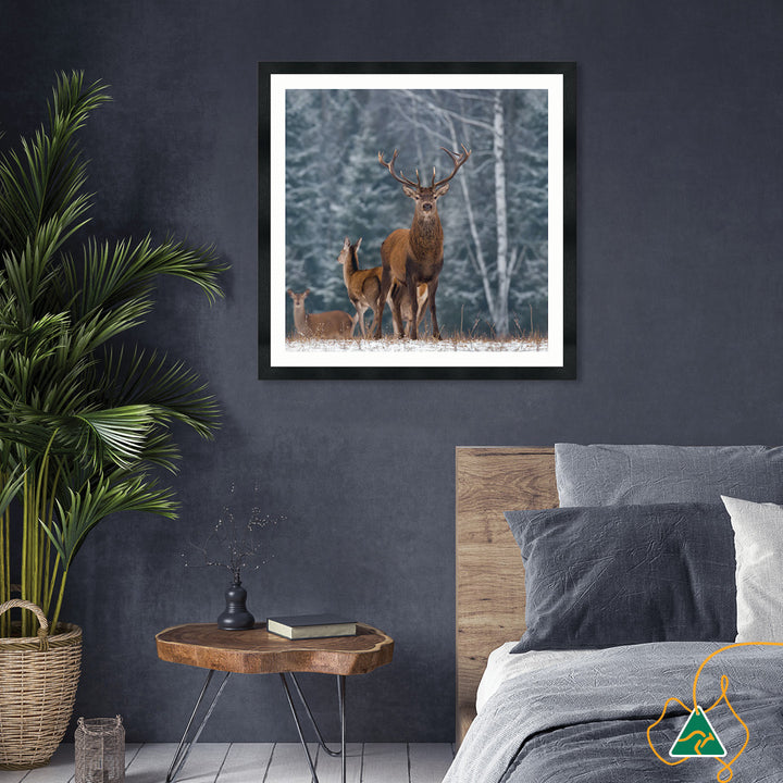 SENTINEL III - Framed Print
