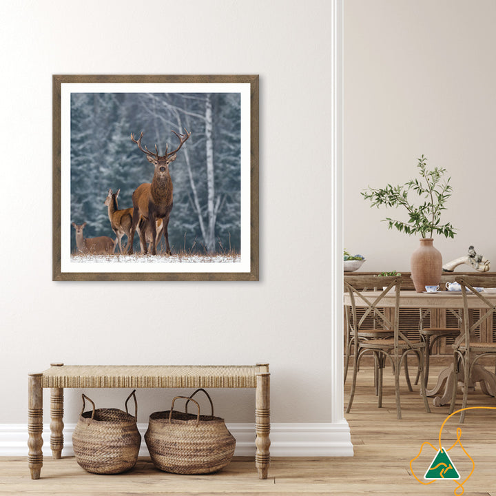 SENTINEL III - Framed Print