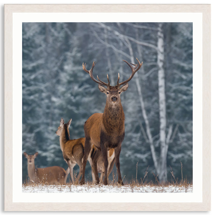 SENTINEL III - Framed Print