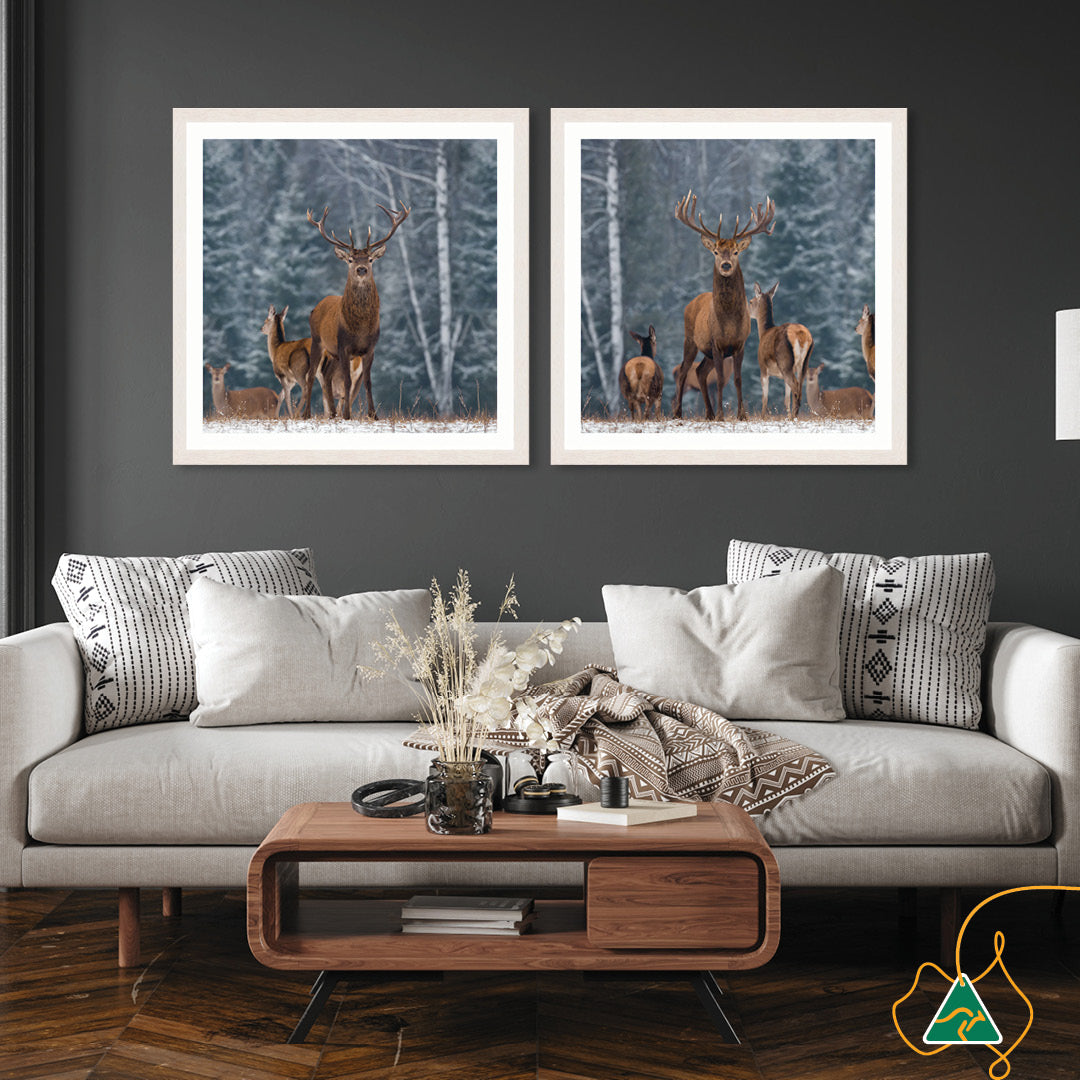 SENTINEL III - Framed Print