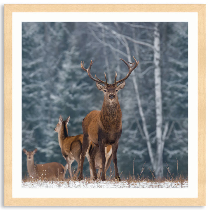 SENTINEL III - Framed Print