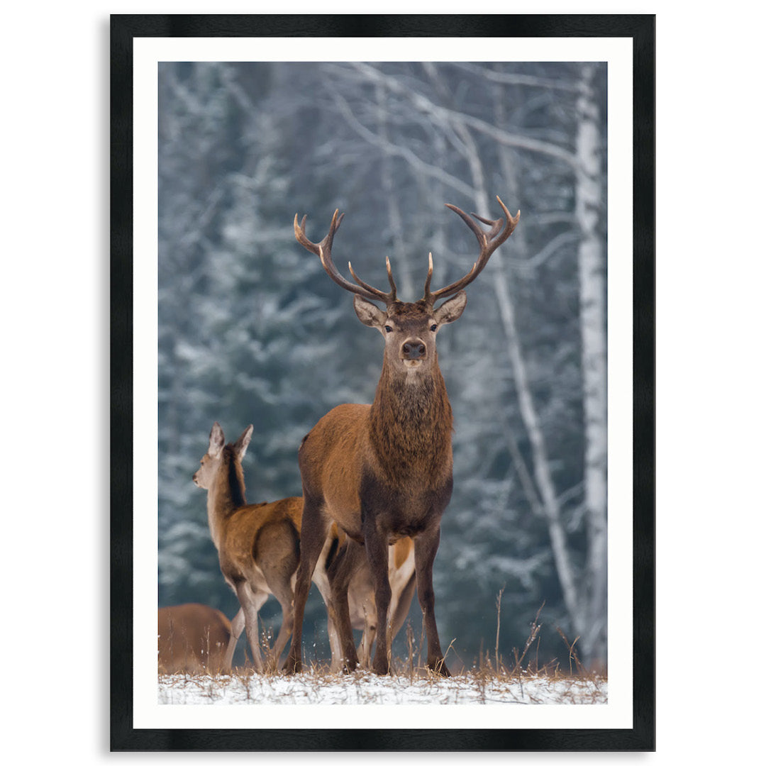 SENTINEL V - Framed Print
