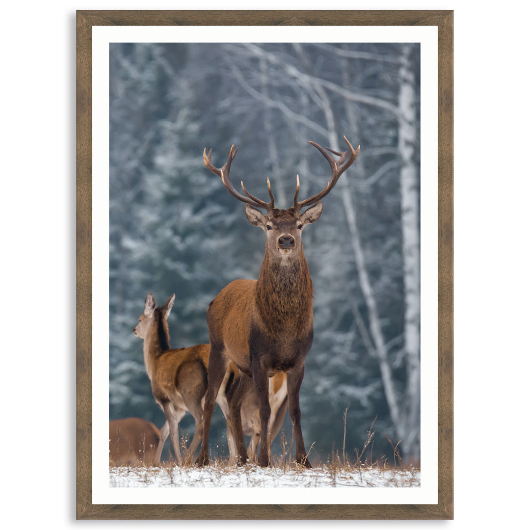 SENTINEL V - Framed Print