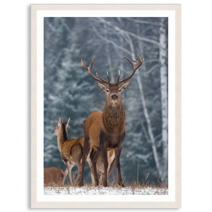 SENTINEL V - Framed Print