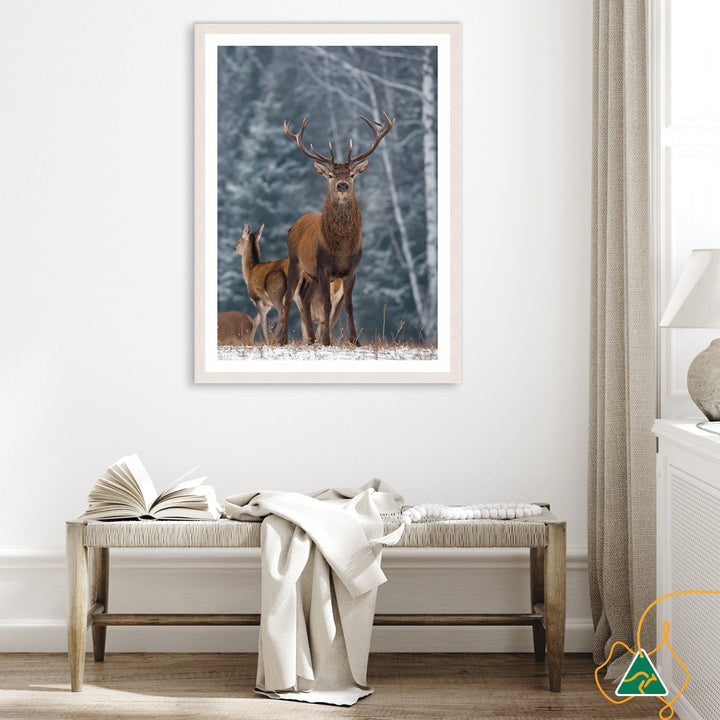 SENTINEL V - Framed Print