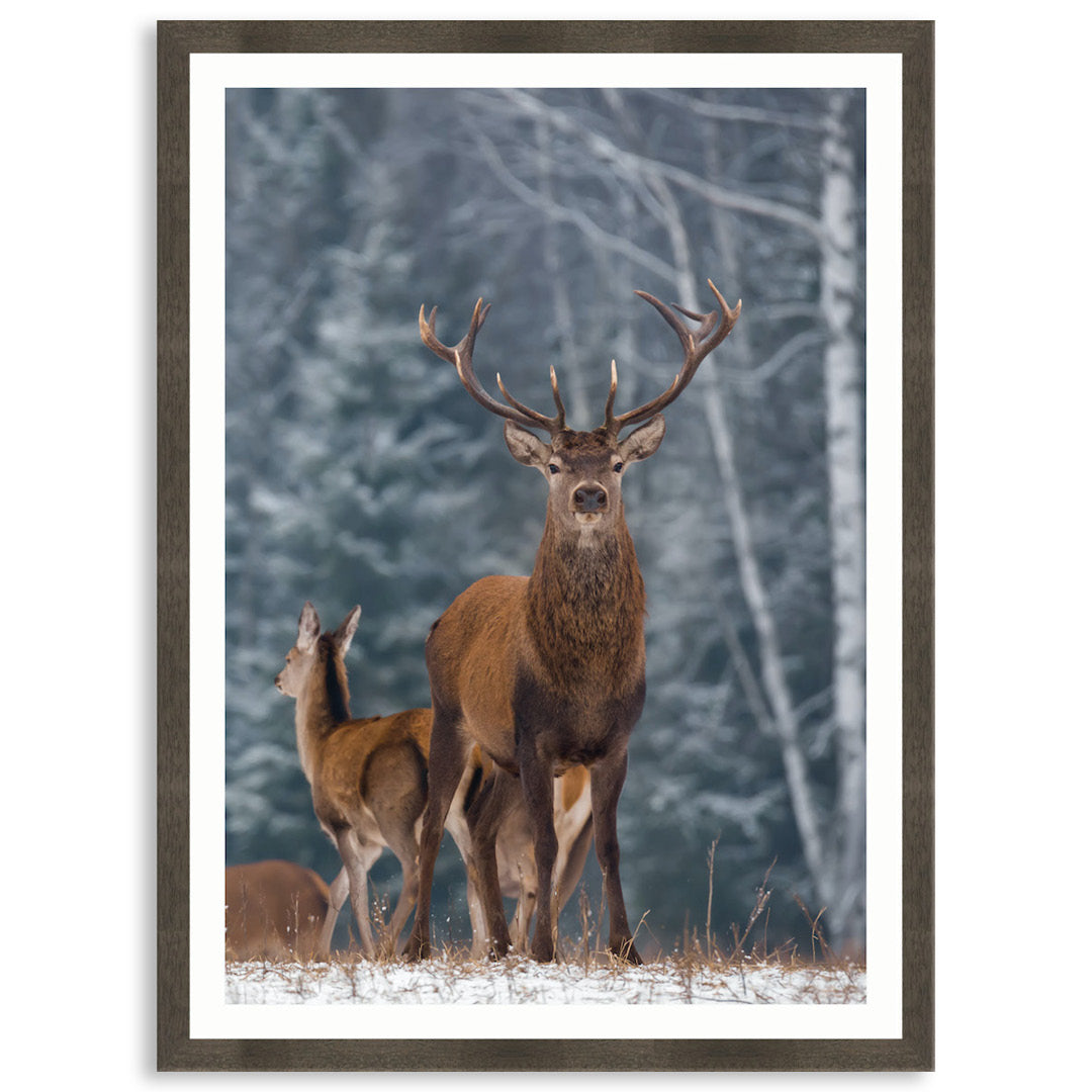 SENTINEL V - Framed Print