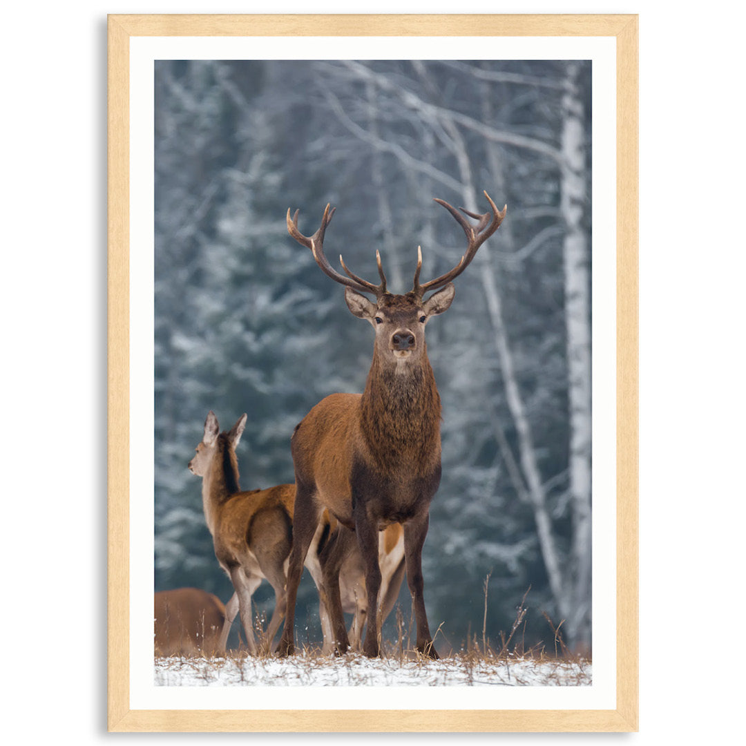 SENTINEL V - Framed Print