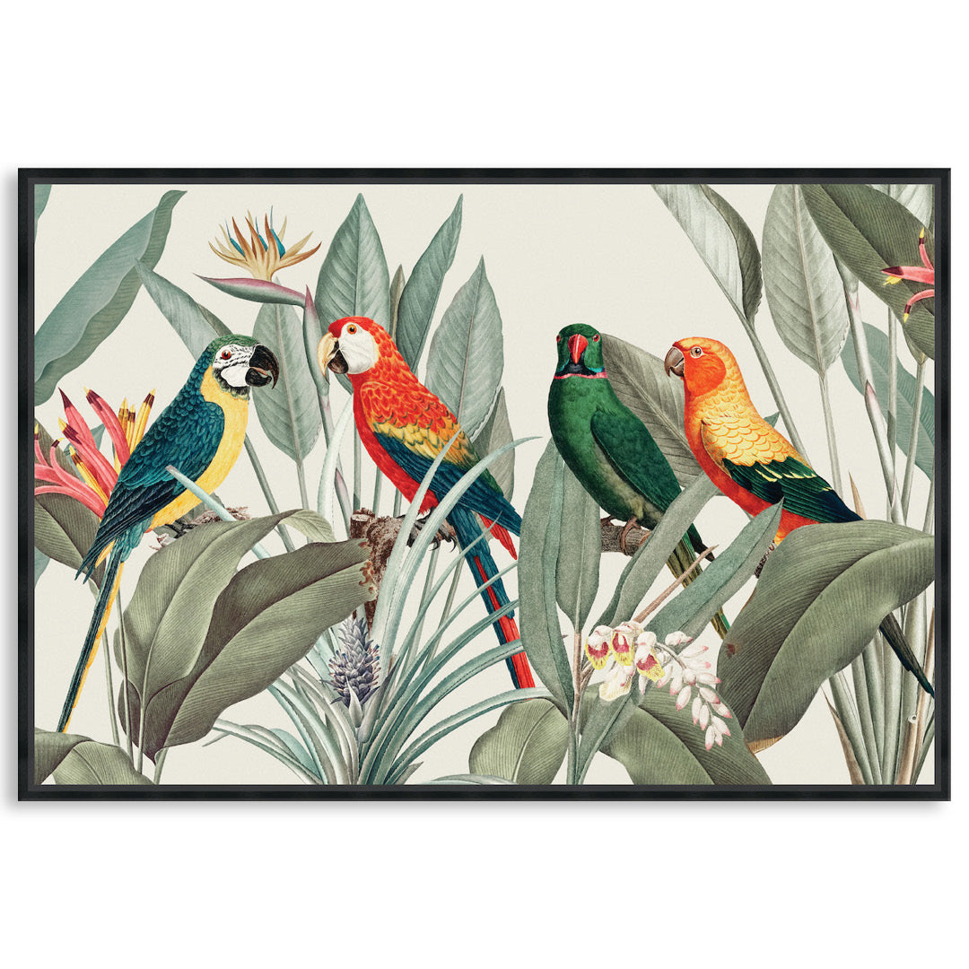 COLOURFUL MACAWS I - Framed Canvas