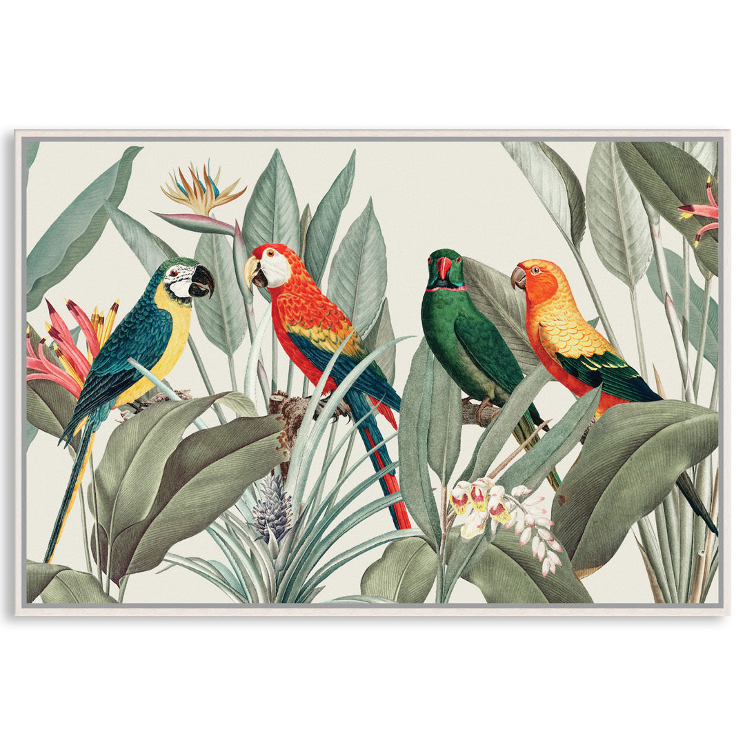 COLOURFUL MACAWS I - Framed Canvas