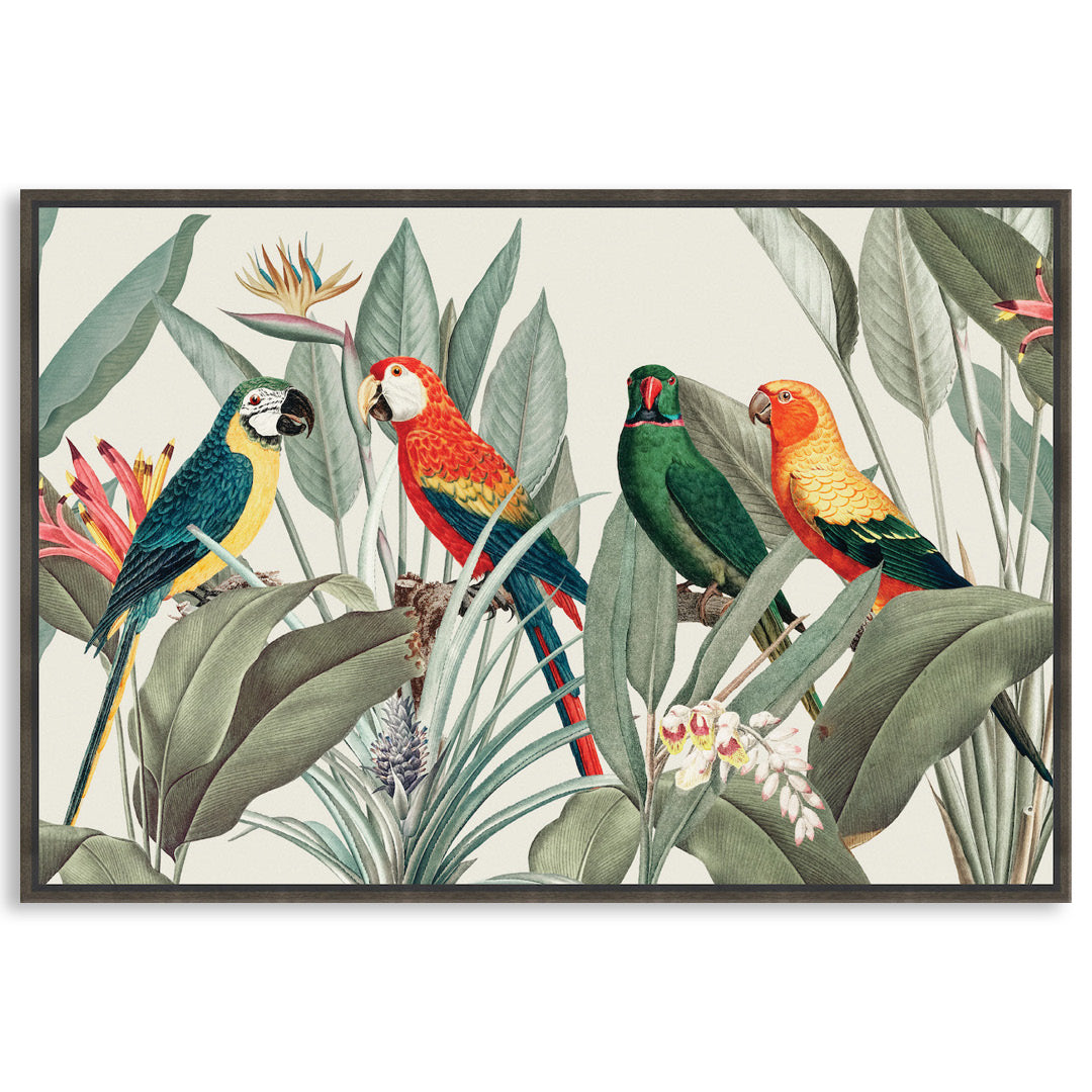COLOURFUL MACAWS I - Framed Canvas