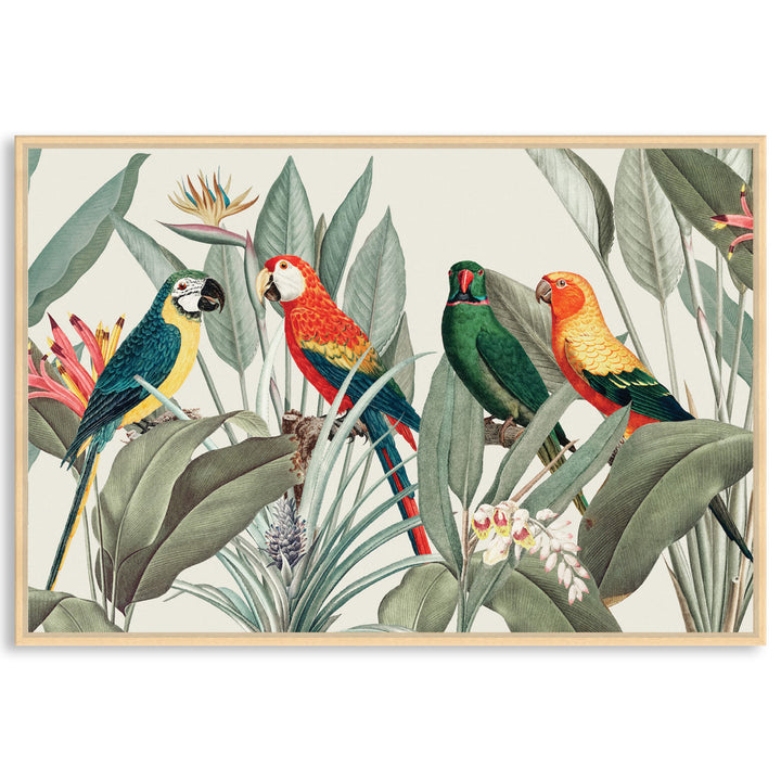 COLOURFUL MACAWS I - Framed Canvas