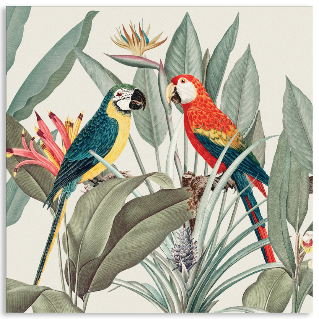 COLOURFUL MACAWS II - Canvas Print