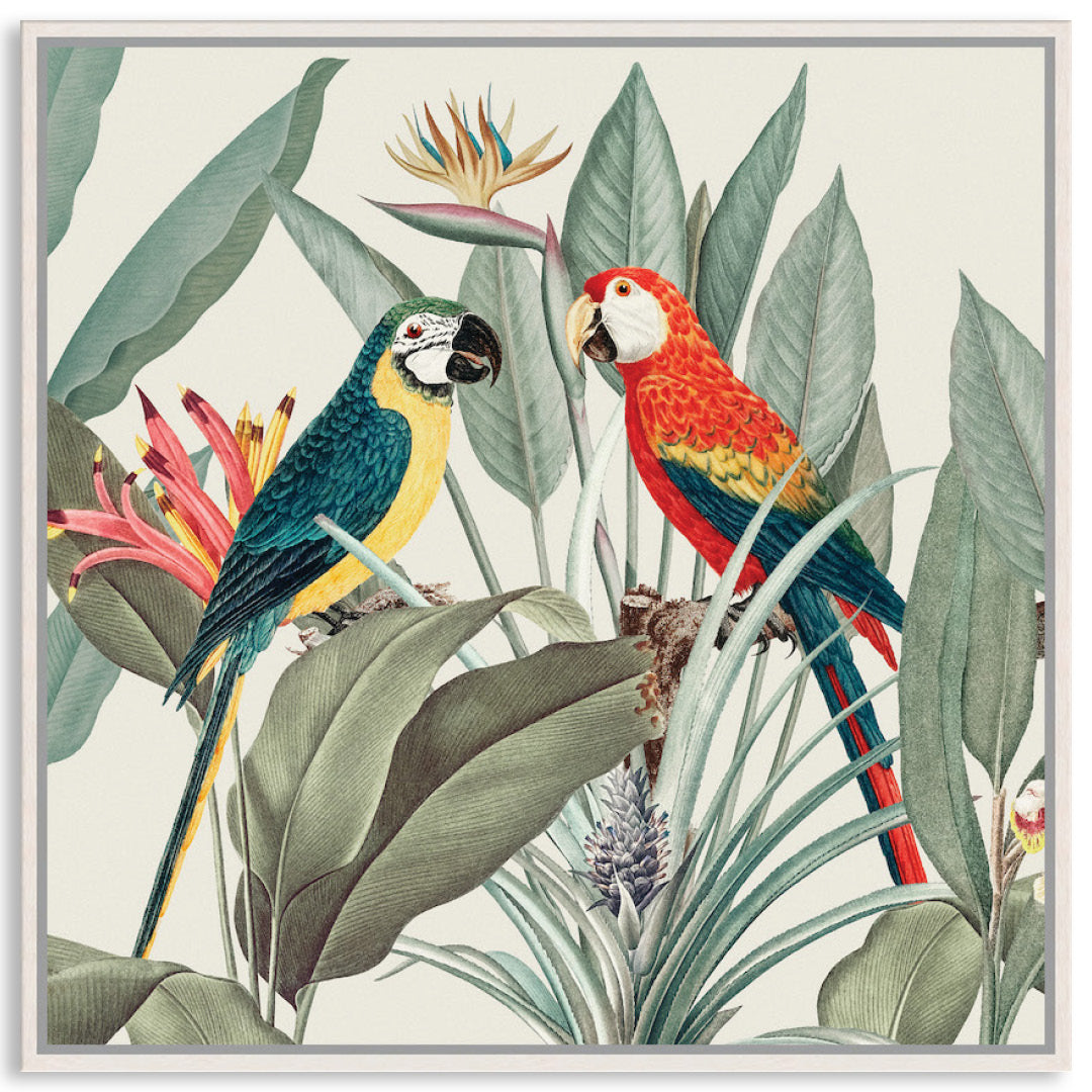 COLOURFUL MACAWS II - Framed Canvas
