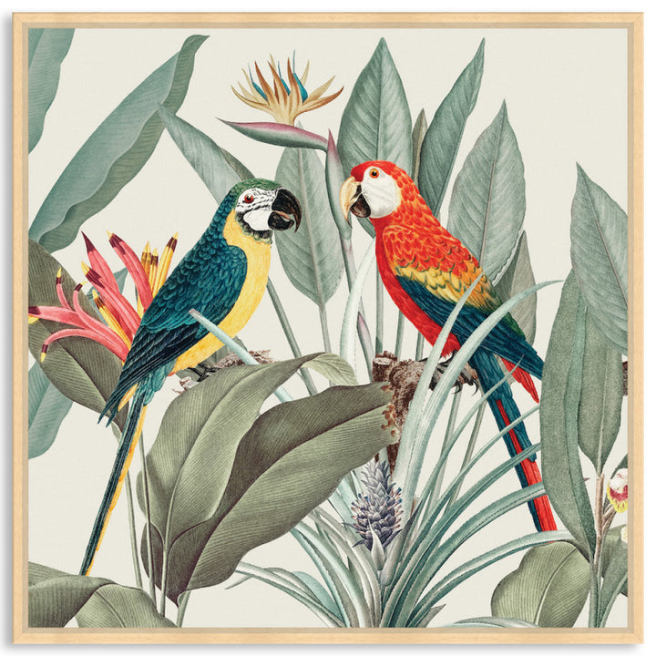COLOURFUL MACAWS II - Framed Canvas