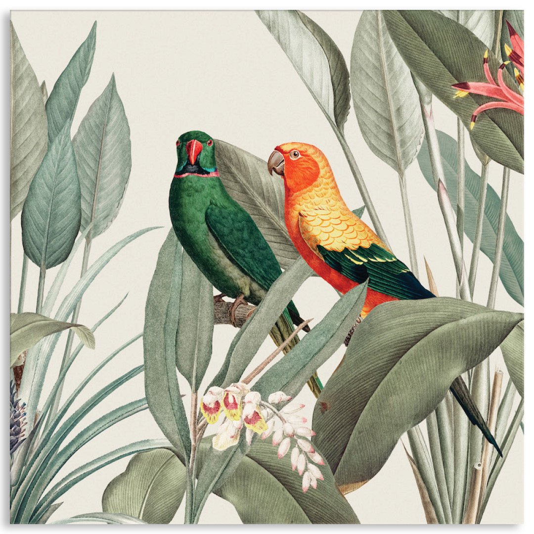 COLOURFUL MACAWS III - Canvas Print