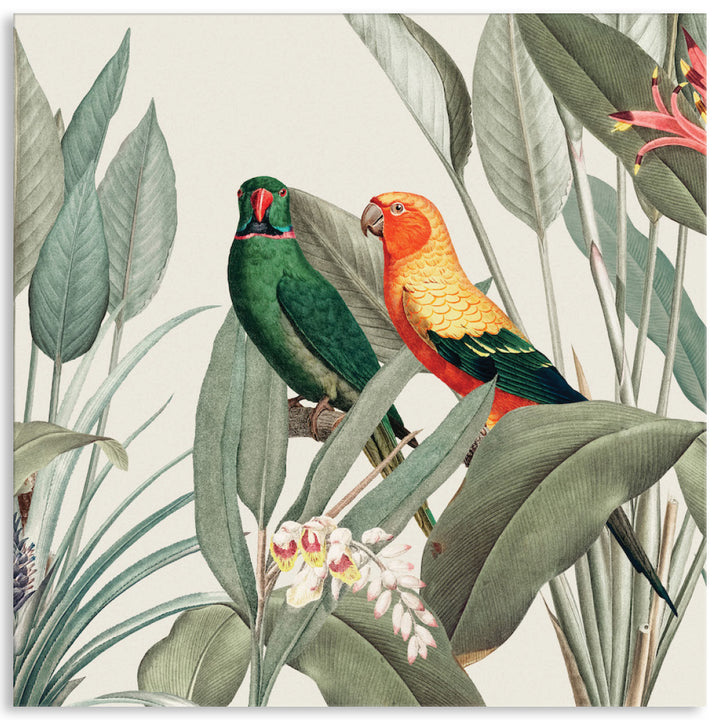 COLOURFUL MACAWS III - Canvas Print