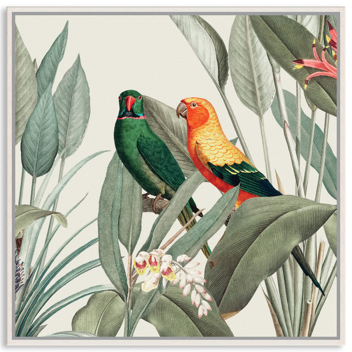 COLOURFUL MACAWS III - Framed Canvas
