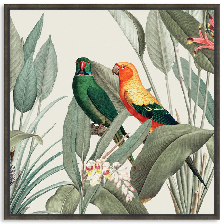 COLOURFUL MACAWS III - Framed Canvas