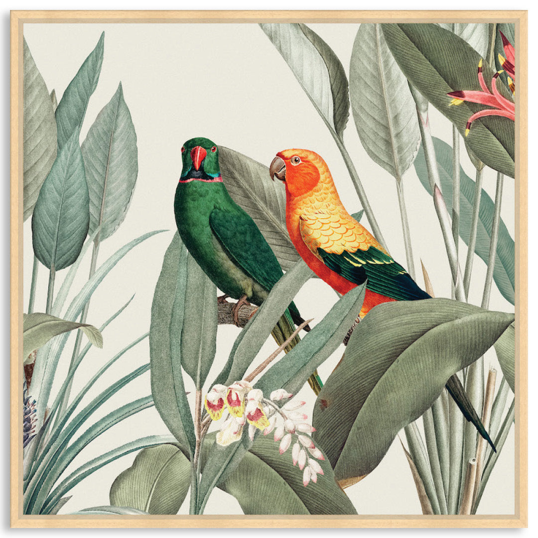 COLOURFUL MACAWS III - Framed Canvas