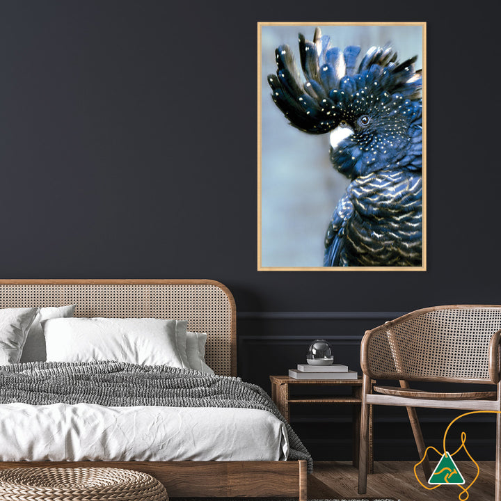 COCKATOO BLACK I - Framed Canvas