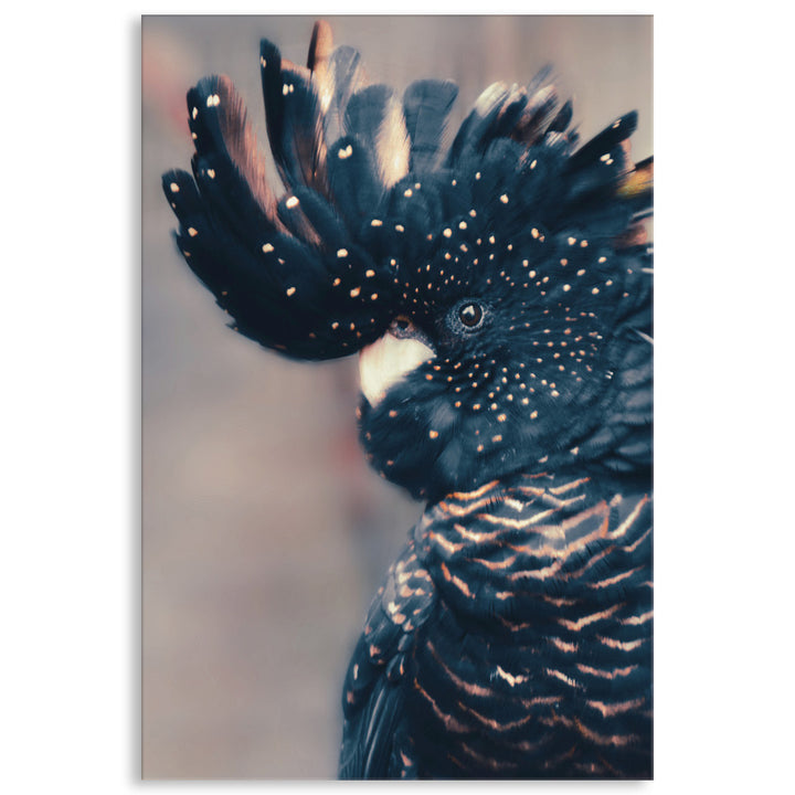 COCKATOO BLACK II - Canvas Print