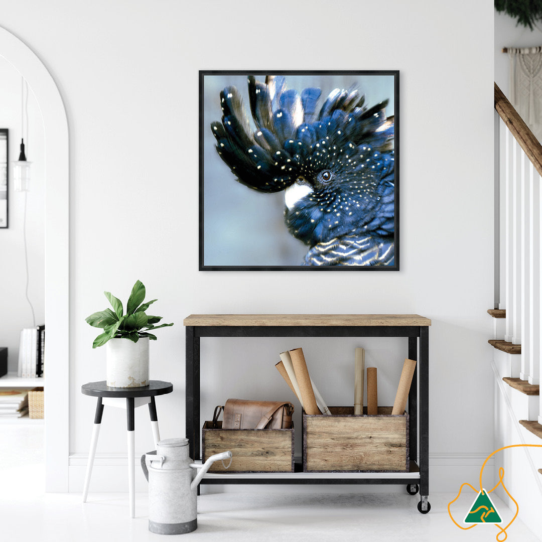 COCKATOO BLACK III - Framed Canvas