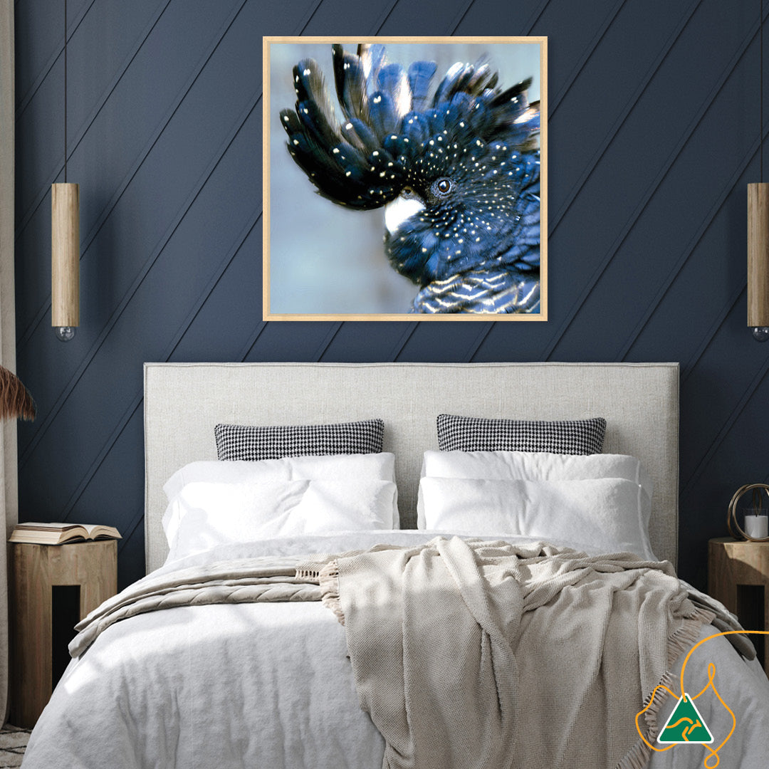 COCKATOO BLACK III - Framed Canvas