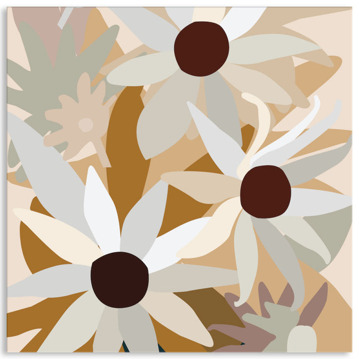 FLANNEL FLOWERS II - Canvas Print