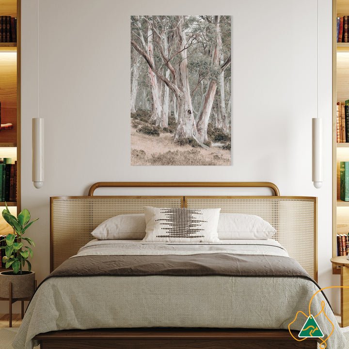 GUM TREES II - Canvas Print