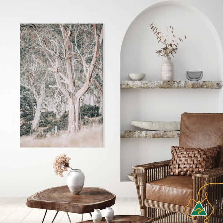 GUM TREES III - Canvas Print