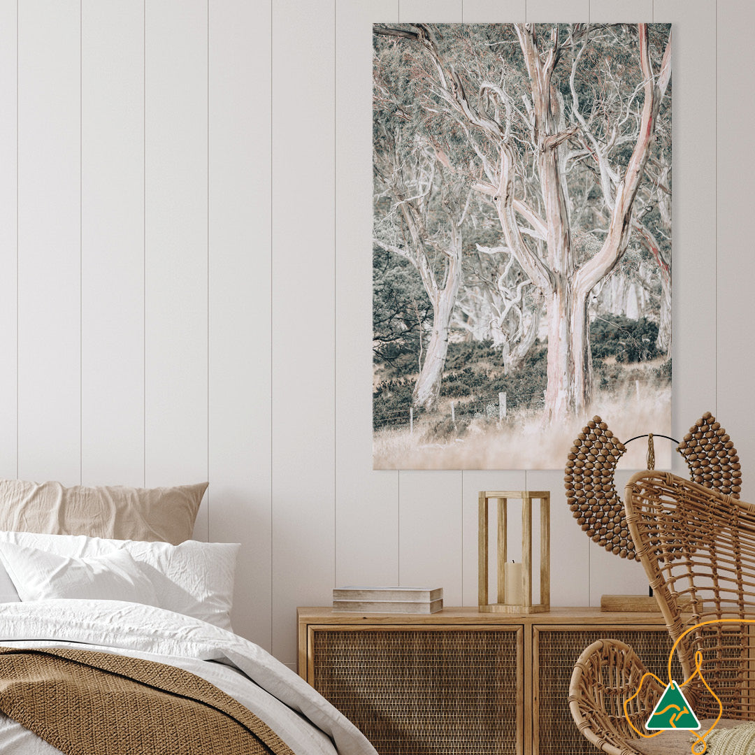 GUM TREES III - Canvas Print