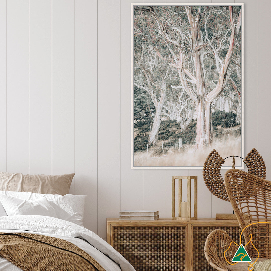 GUM TREES III - Framed Canvas
